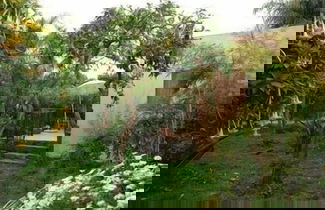 Photo 10 - La Grevillea