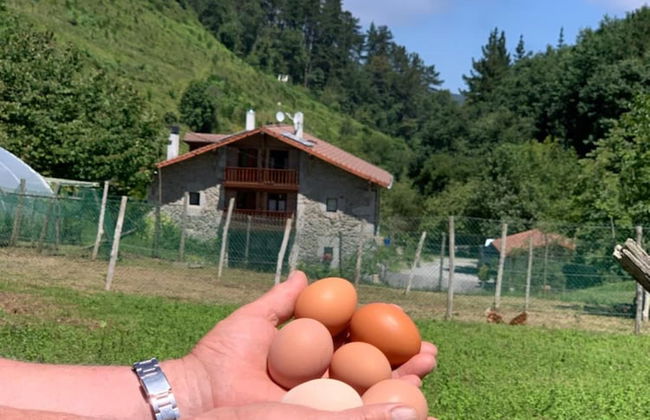 Agroturismo Urresti - Foto 42