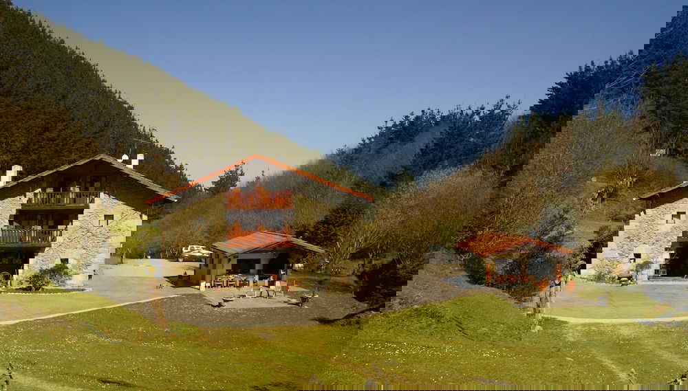Primary image