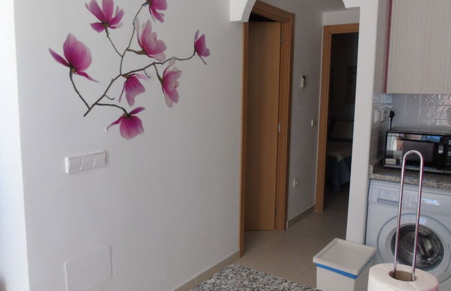 Apartamentos Laguna Playa - Foto 22