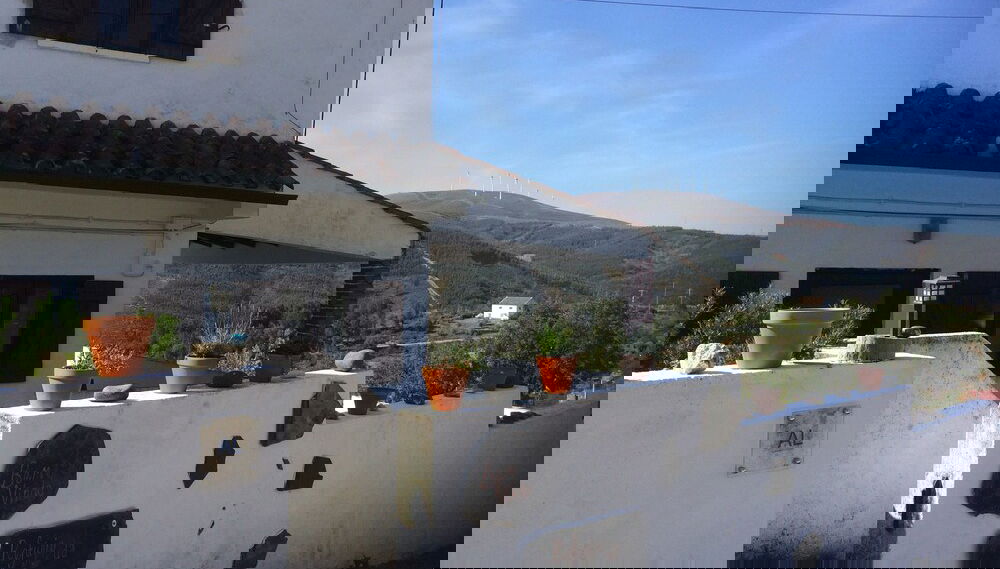 Imagem principal