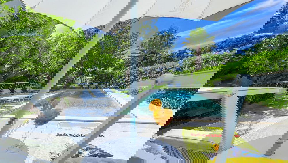 Image principale