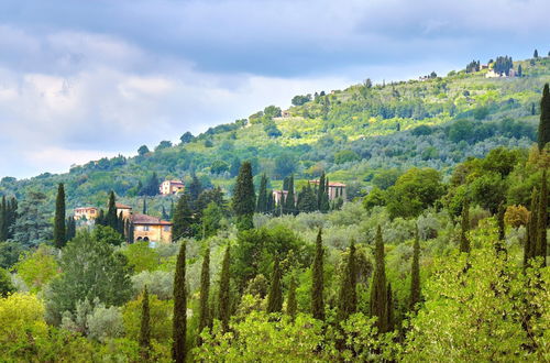 Photo 19 - Usignoli Pool Apartment Tuscany