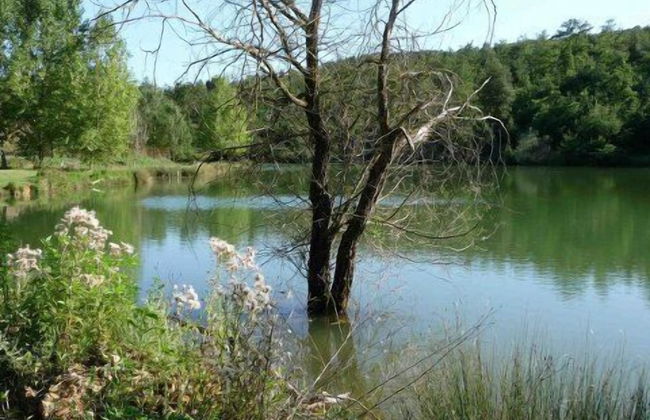 San Bernardino del Lago - Foto 33