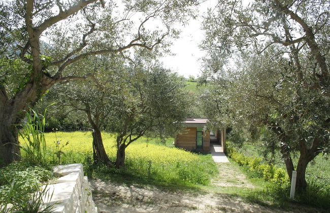Il Bevaio di Corleone - Foto 55