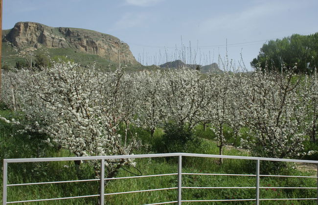 Il Bevaio di Corleone - Foto 56