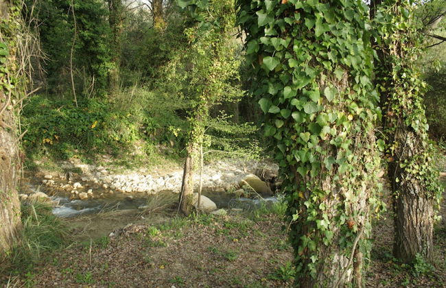 Il Bevaio di Corleone - Foto 48