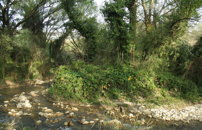 Il Bevaio di Corleone - Foto 47