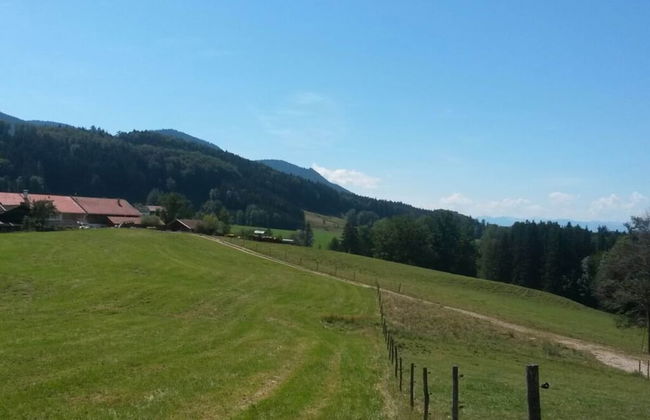 Richter Comfortable Holiday Residence - Foto 1
