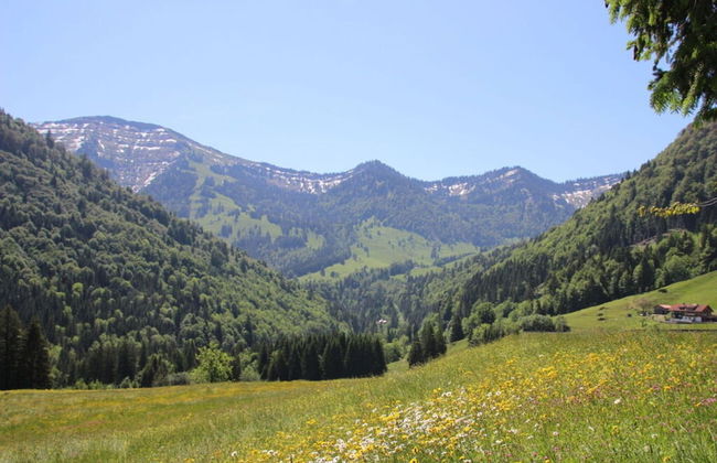 Hochgrat View in Steibis, Haus Akelei - Foto 25