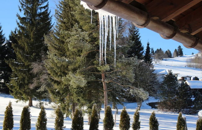 Hochgrat View in Steibis, Haus Akelei - Foto 24