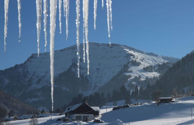 Hochgrat View in Steibis, Haus Akelei - Foto 12