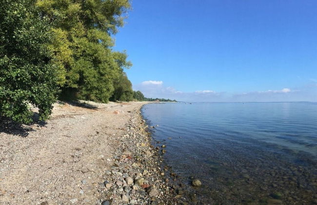 Holiday Apartment Sternhoh - Foto 13