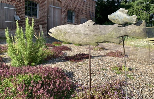 Holiday Apartment Sternhoh - Foto 17