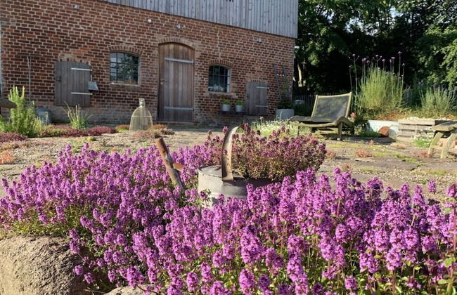 Holiday Apartment Sternhoh - Foto 16