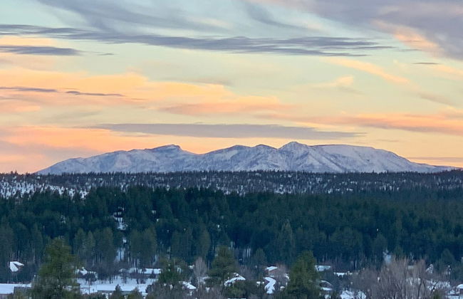 Elk Rim 1140 Pine - Photo 1