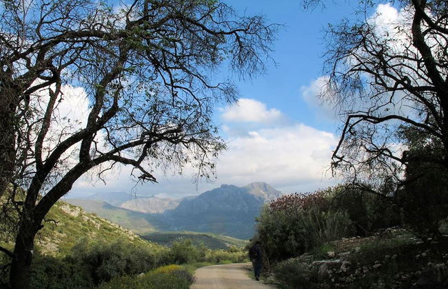 Andalusian House With Private Pool in the Picturesque Village of Zagrilla Alta - Foto 28