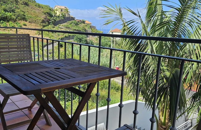 Casa da Palmeira - Photo 20
