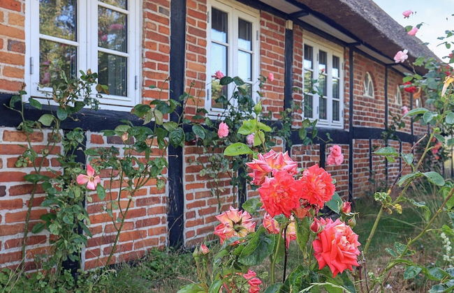 6 Person Holiday Home in Guldborg - Foto 23