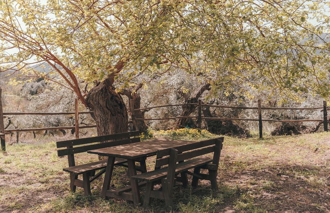 agriturismo i moresani - Foto 70