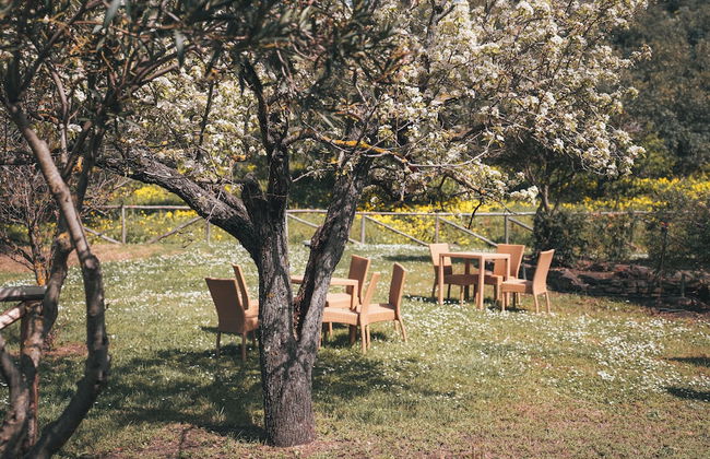 agriturismo i moresani - Foto 18