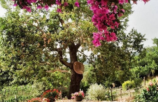 agriturismo i moresani - Foto 61