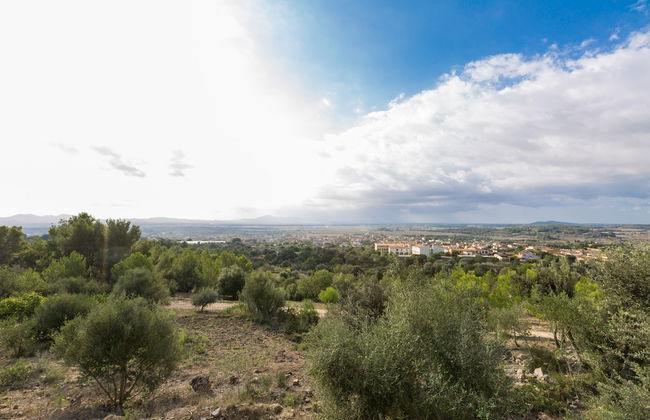 Son Morey in Sant Joan - Foto 35