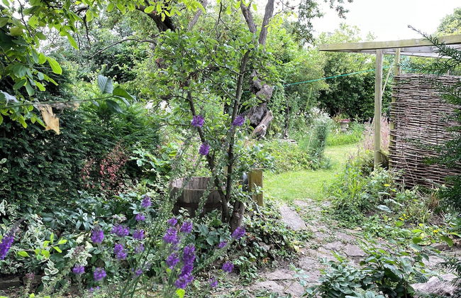15th Century 3 Bedroom Cottage & Delightful Garden - Foto 16