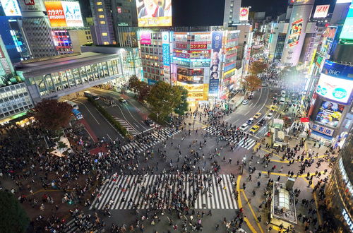 Photo 71 - illi Mani Shibuya