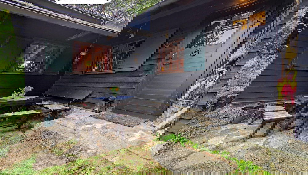 Primary image
