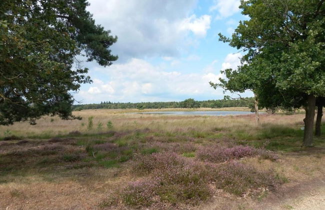 Chalet in De Peel Near Forest - Foto 26