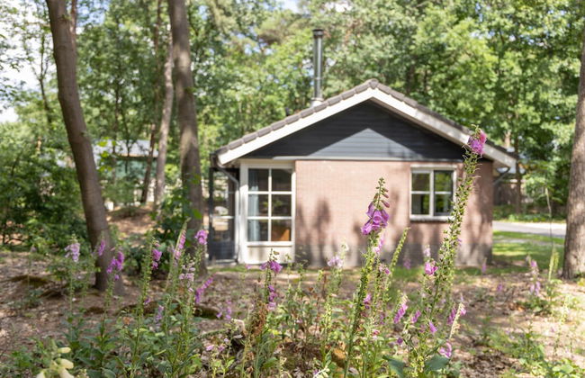 Bungalow in Park De Peel - Car-free Retreat - Foto 17