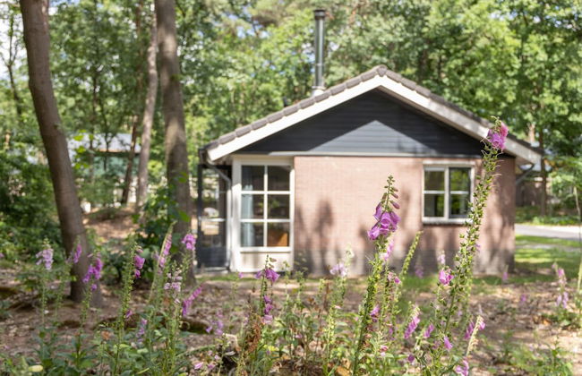Bungalow in Park De Peel - Car-free Retreat - Foto 21