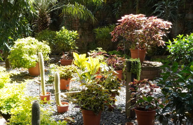 Villa Las Flores - Photo 41