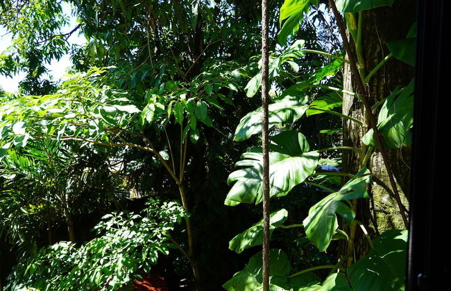 Villa Las Flores - Photo 46