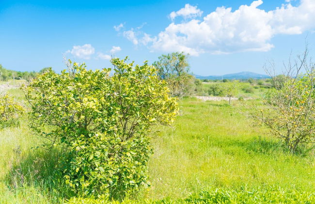 Casa Holganza in Maria de la Salut - Foto 32