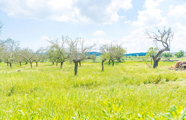 Casa Holganza in Maria de la Salut - Foto 31