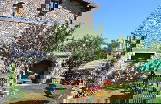 Photo 2 - Mimosa in Hilly Area