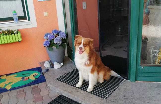 Apartment Neukirchen Near Ski Slopes - Foto 20