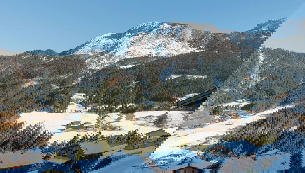 Primary image