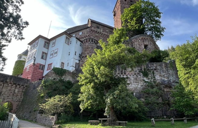 Apartment in Zwingenberg - Foto 14