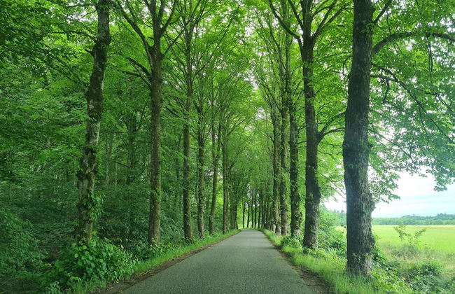 8 Person Holiday Home in Oster Assels - Foto 12