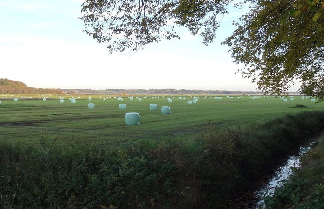 8 Person Holiday Home in Oster Assels - Foto 8