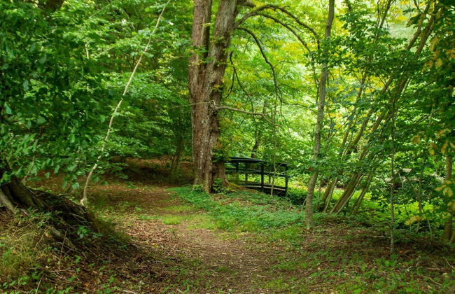 8 Person Holiday Home in Oster Assels - Foto 25