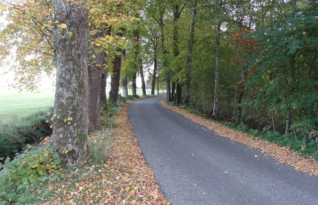 8 Person Holiday Home in Oster Assels - Foto 13