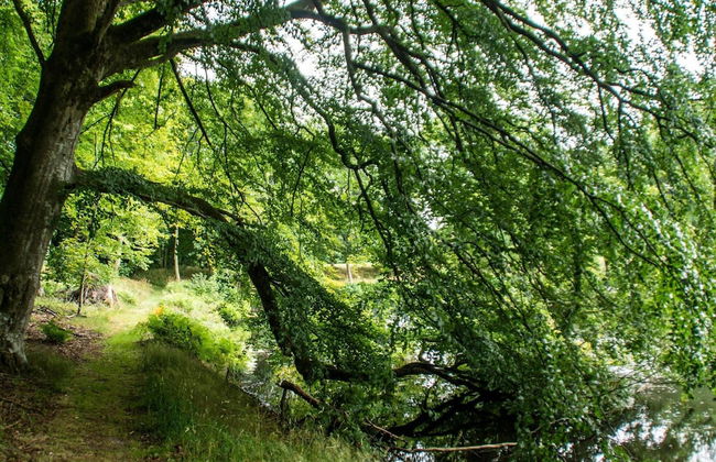 8 Person Holiday Home in Oster Assels - Foto 10