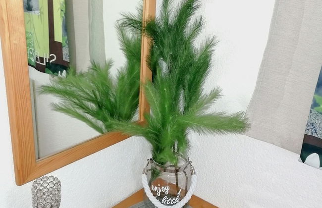 Apartment in Walchen Near Ski Slopes - Foto 12