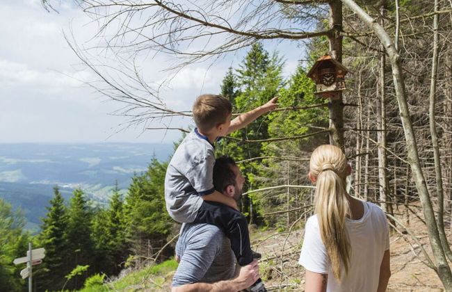 Zum Kuckuck Black Forest - Photo 31