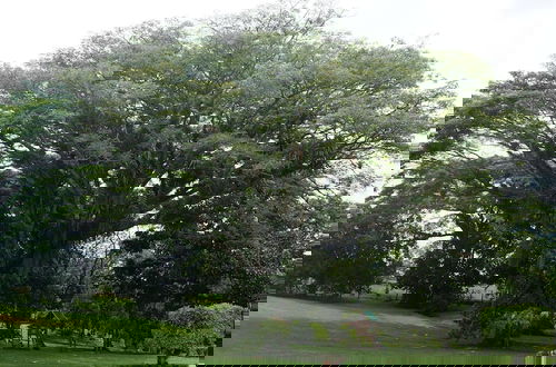 Foto 12 - FINCA EL PÓRTAL