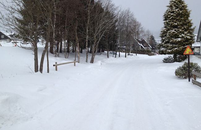 Chic Holiday Home in Medebach Germany near Ski Area - Foto 27